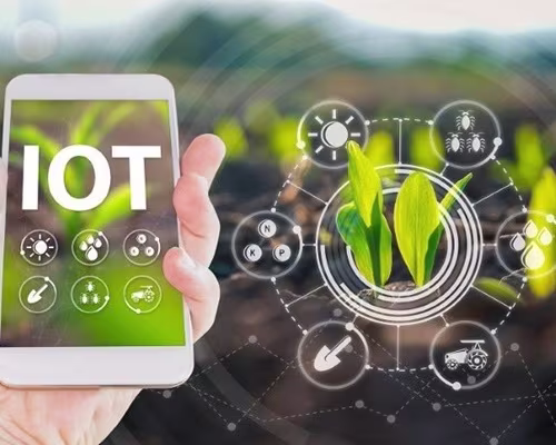 Indigenous farming development with CDOT